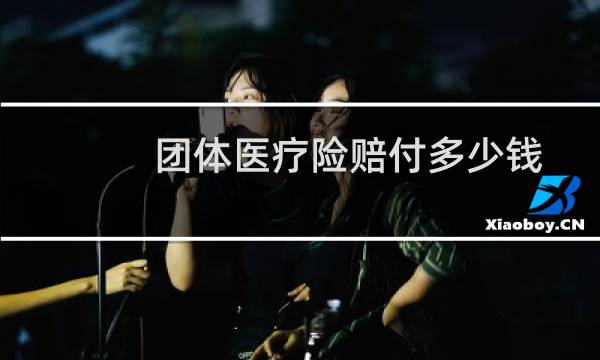团体医疗险赔付多少钱