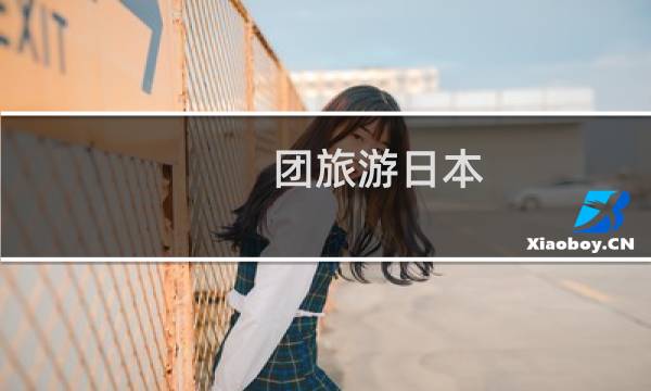 團(tuán)旅游日本
