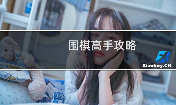 围棋高手攻略