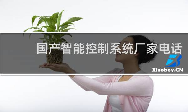 国产智能控制系统厂家电话