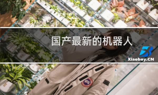 国产最新的机器人