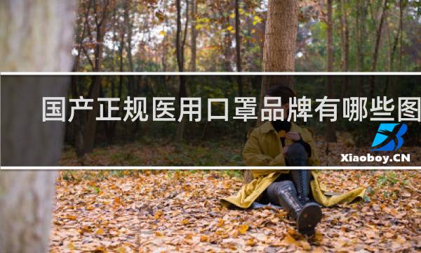 国产正规医用口罩品牌有哪些图片