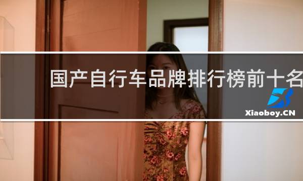 国产自行车品牌排行榜前十名