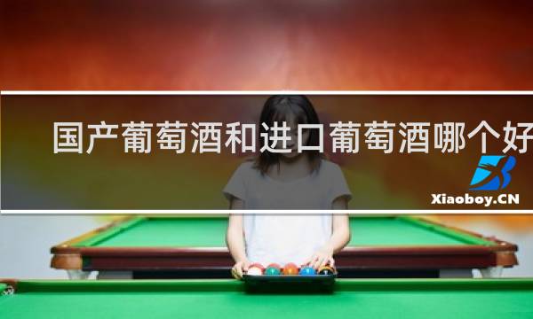 国产葡萄酒和进口葡萄酒哪个好喝