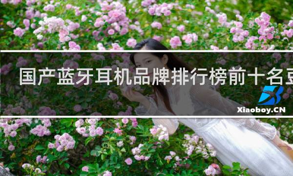 国产蓝牙耳机品牌排行榜前十名豆瓣