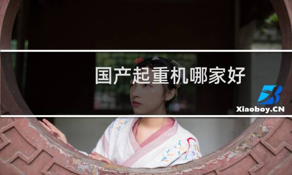 国产起重机哪家好