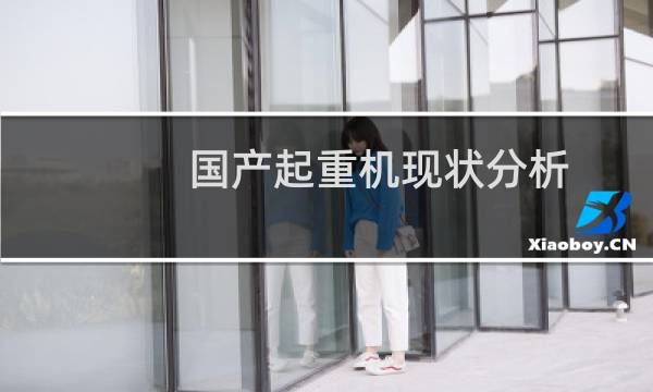国产起重机现状分析