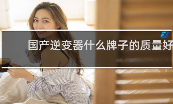 国产逆变器什么牌子的质量好
