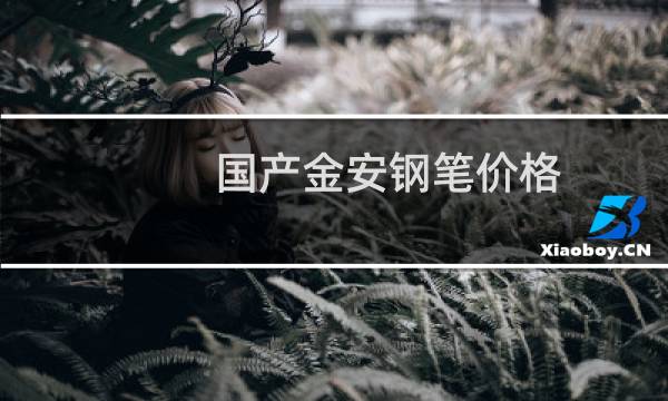 国产金安钢笔价格