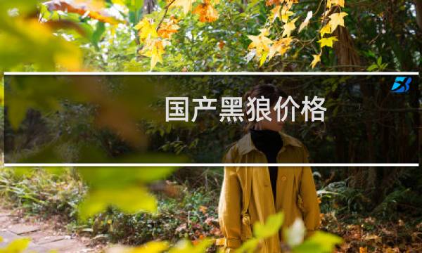 国产黑狼价格