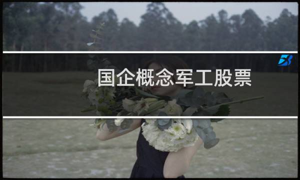国企概念军工股票