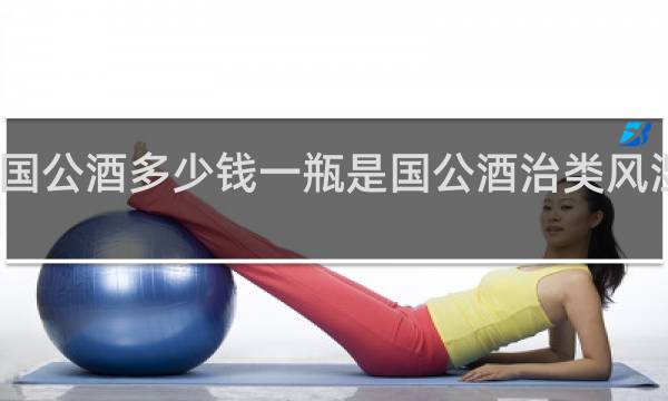 国公酒多少钱一瓶是国公酒治类风湿的酒