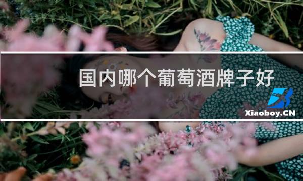 国内哪个葡萄酒牌子好