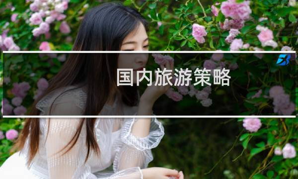 国内旅游策略