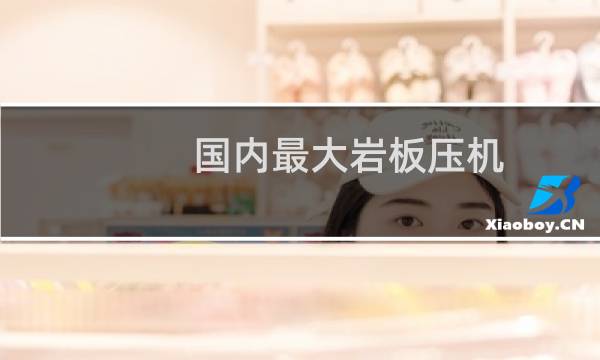 国内最大岩板压机