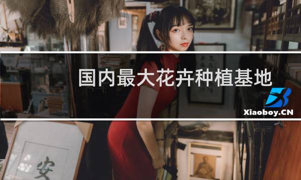 国内最大花卉种植基地