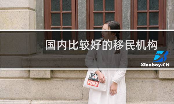 国内比较好的移民机构