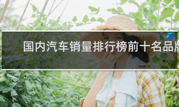 国内汽车销量排行榜前十名品牌