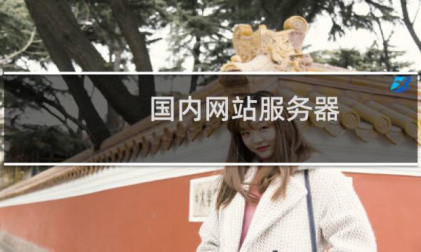 国内网站服务器