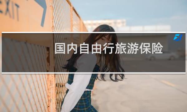 国内自由行旅游保险