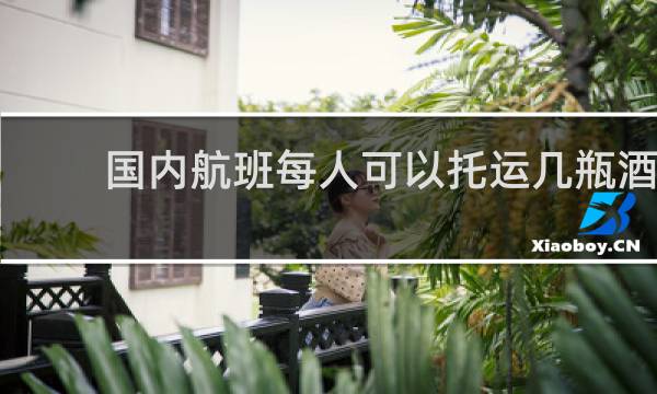 国内航班每人可以托运几瓶酒