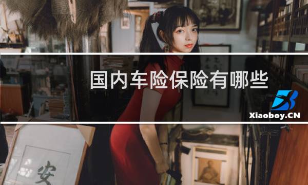 国内车险保险有哪些