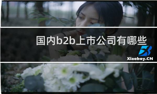 国内b2b上市公司有哪些