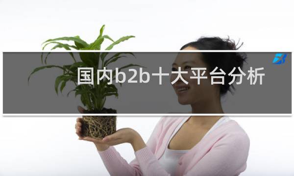 国内b2b十大平台分析