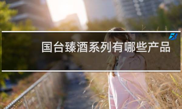 国台臻酒系列有哪些产品