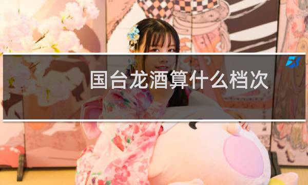 国台龙酒算什么档次