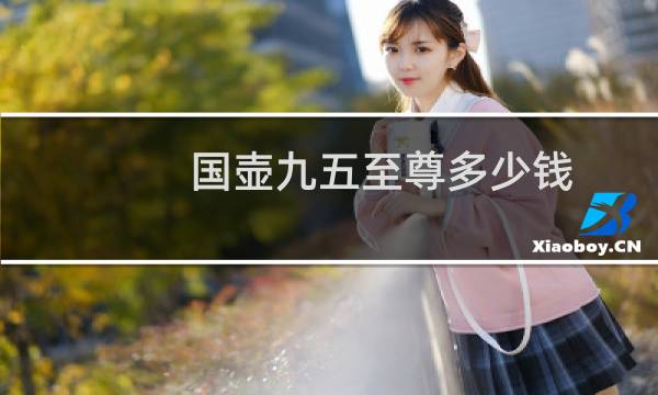 国壶九五至尊多少钱