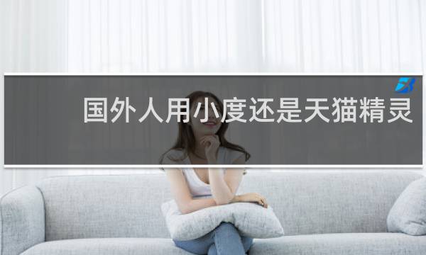 国外人用小度还是天猫精灵