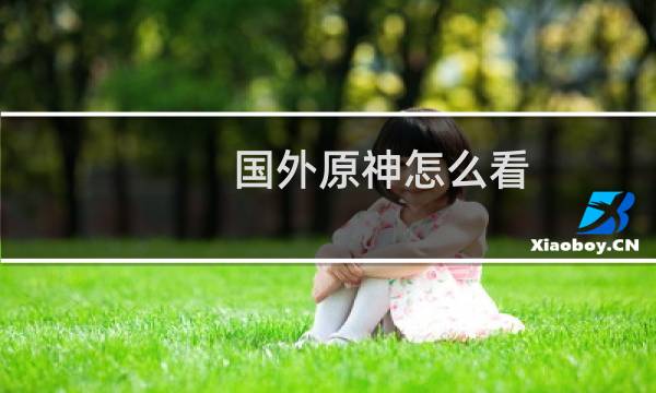 国外原神怎么看