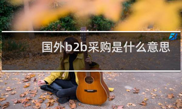 国外b2b采购是什么意思