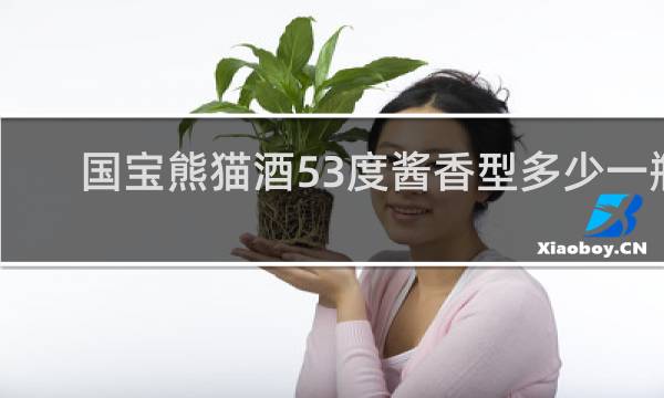 国宝熊猫酒53度酱香型多少一瓶