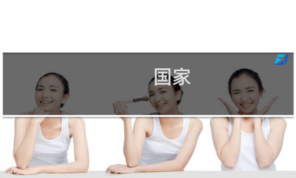 国家 崛起攻略