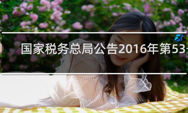国家税务总局公告2016年第53号