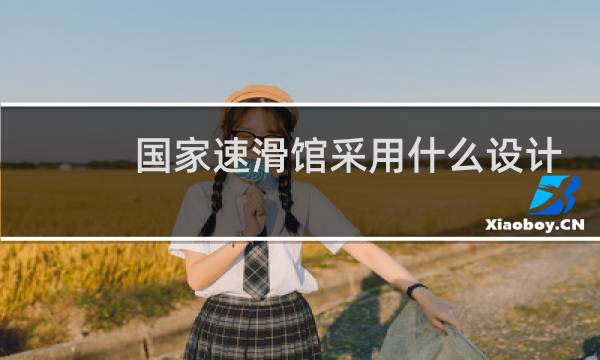 国家速滑馆采用什么设计