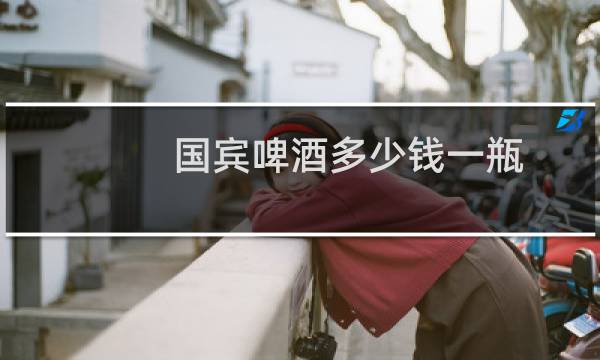 国宾啤酒多少钱一瓶