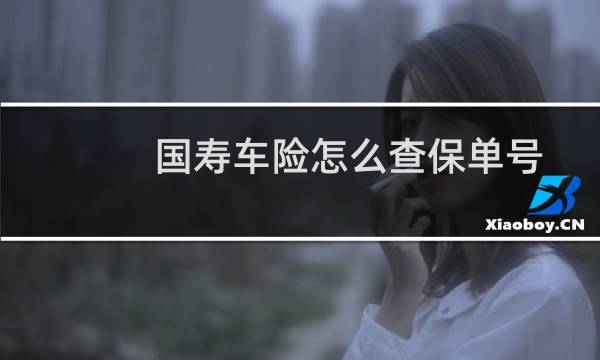 国寿车险怎么查保单号