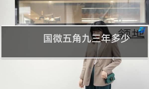 国微五角九三年多少