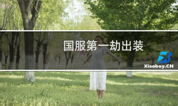 国服第一劫出装