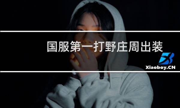 国服第一打野庄周出装