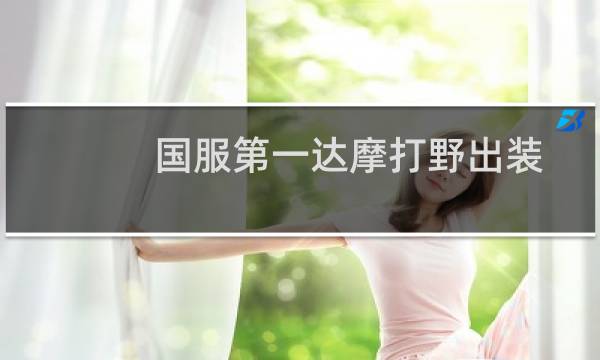 国服第一达摩打野出装