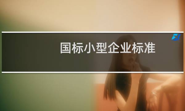 国标小型企业标准