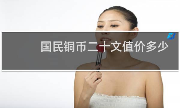 国民铜币二十文值价多少