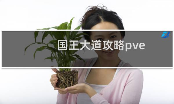 国王大道攻略pve