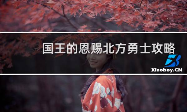国王的恩赐北方勇士攻略