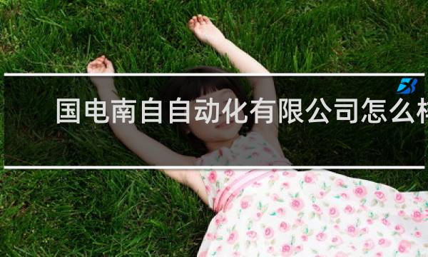 国电南自自动化有限公司怎么样