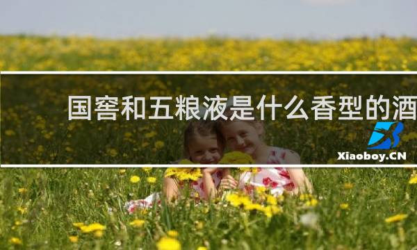 国窖和五粮液是什么香型的酒